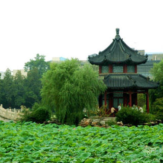 古莲花池虚拟旅游