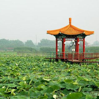 白洋淀虚拟旅游