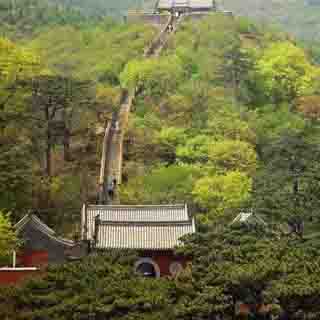 妙峰山虚拟旅游
