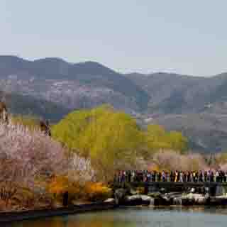 北京植物园虚拟旅游