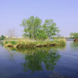 大明湖虚拟旅游