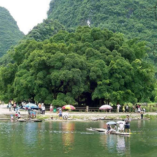 大榕树景区虚拟旅游